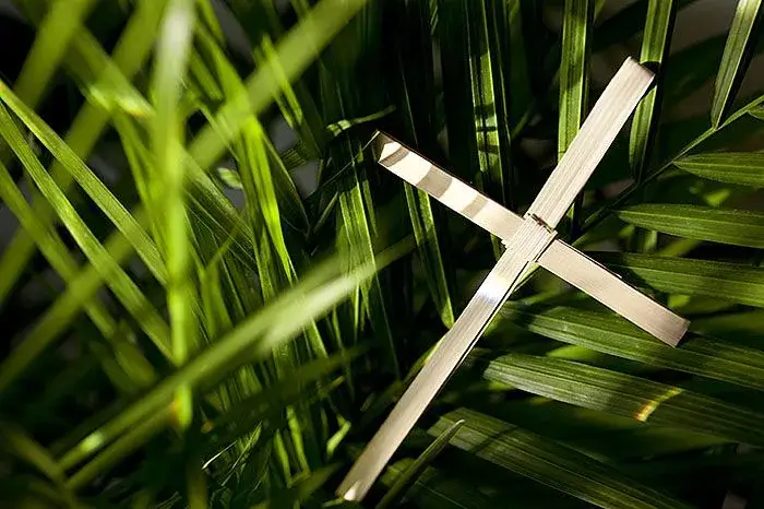 Qué hacer con la palma bendita vieja del domingo de ramos en semana santa, quemar palma bendita o ramo de palma para pascua, ramo de olivo